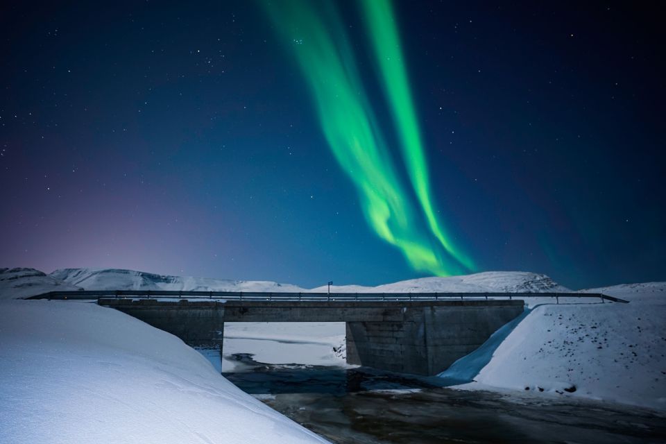 Reykjavik: Northern Lights Tour With Private Photographer - Tour Logistics and Details