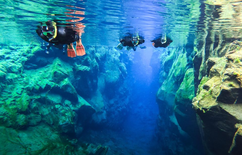 Reykjavík: Silfra Fissure Snorkeling Tour With Photo & Cocoa - Booking Information