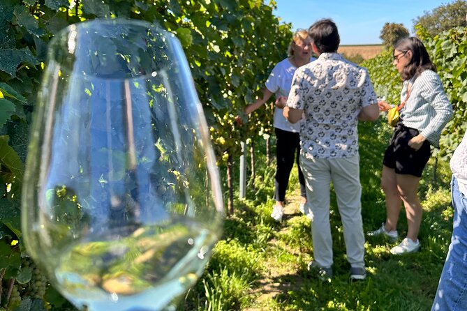 Rhine Valley Wine Tasting Tour From Frankfurt and Mainz - Key Tour Information