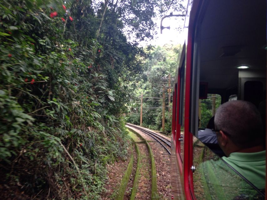 Rio: City Half-Day Tour by Van With Corcovado Mountain - Tour Suitability