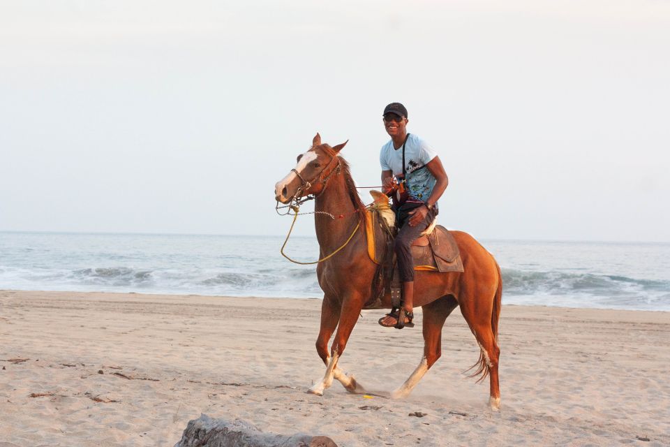 River, Ocean & Sunset Horse Riding Tour - Directions and Transportation