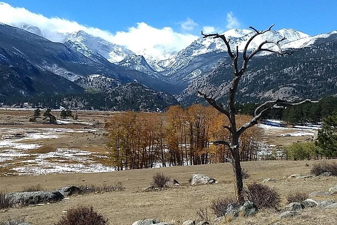Rocky Mountain National Park and Estes Park Tour From Denver Winter and Spring - Customer Experiences