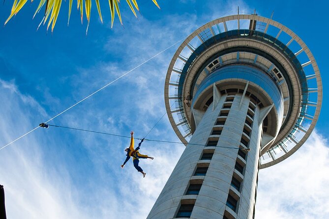 Romantic Charms of Auckland - Walking Tour - Customer Reviews and Feedback