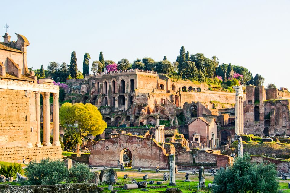 Rome: Colosseum Arena, Roman Forum & Palatine Hill Tour - What to Bring