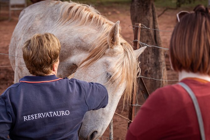 Ronda Guided Tour - Accessibility and Transportation Options