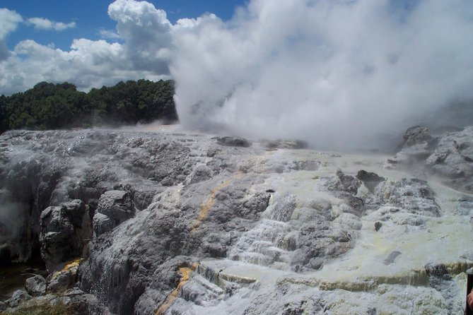 Rotorua Day Trip From Auckland With Options - Smaller Groups - Accessibility Features