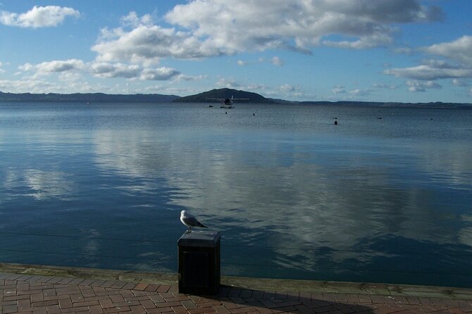 Rotorua Discovery Te Puia Tour - Weather Considerations
