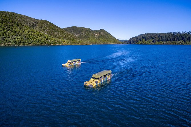 Rotorua Duck Boat Guided City and Lakes Tour - Traveler Reviews and Feedback
