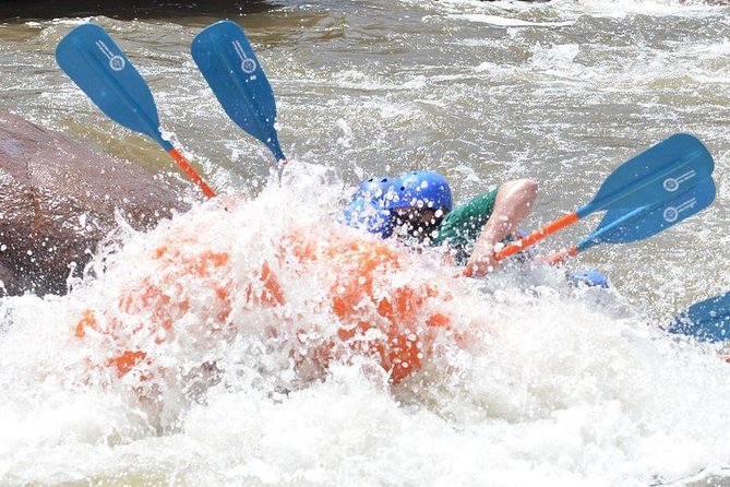 Royal Gorge Half-Day Rafting Trip - Wildlife and Scenic Views