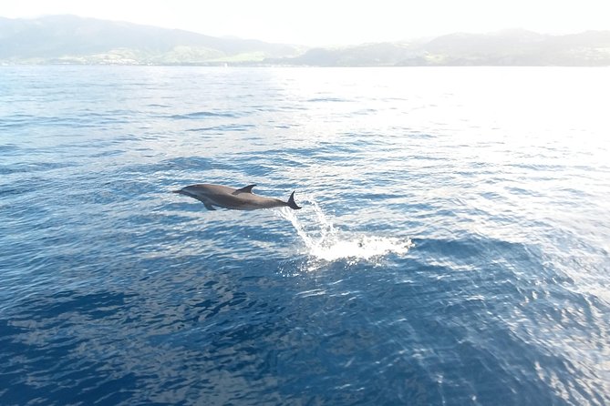 Sail/Snorkel Adventure From Sapphire Marina,Stt NO Crowds~ 6 GUEST MAX - Reviews and Quality Badge