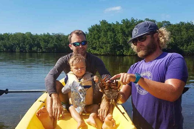 Sail, Snorkel, Kayak, Dolphins, and Lunch With Honest Eco - Customer Testimonials