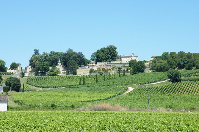Saint Emilion Wine Tour Half Day - Traveler Reviews and Feedback
