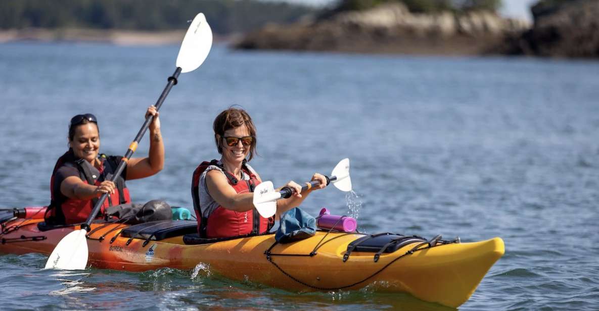 Saint John: Bay of Fundy Guided Kayaking Tour With Snack - Tides, Wildlife, and Geology