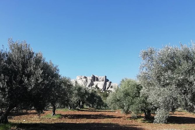 Saint Remy, Les Baux and Pont Du Gard Small Group Day Trip - Booking Information