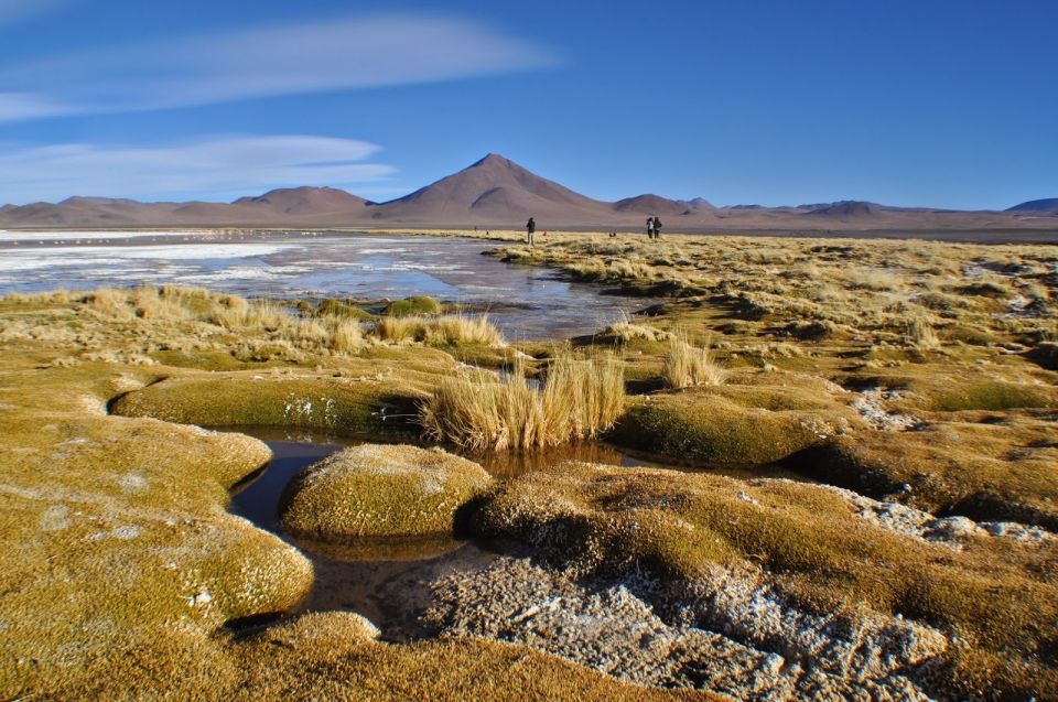 Sajama National Park From La Paz - Group Experience Options