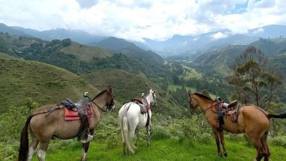 Salento, Cocora Horseback Riding From Pereira or Armenia - Additional Tour Experiences