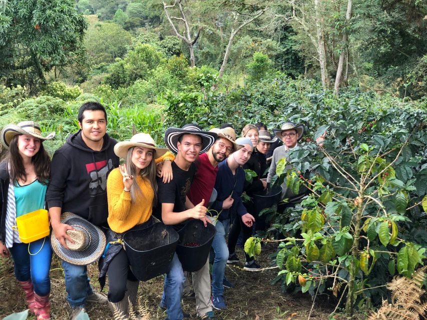 Salento: Private Cocora Valley, Salento & Coffee Farm Tour - Traditional Coffee Farm Visit
