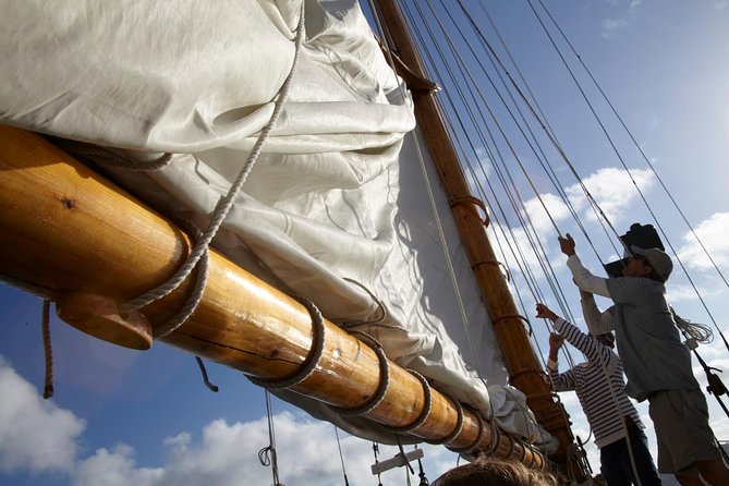 San Diegos Best Sunset Sail - Safety and Accessibility Information