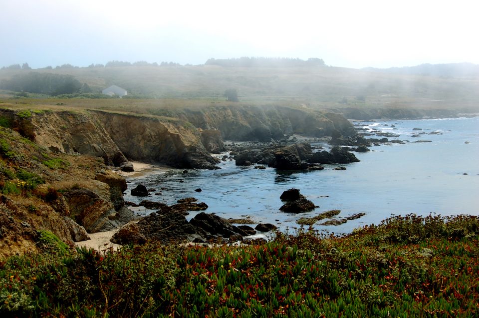 San Francisco: Monterey and Carmel Tour - Scenic Coastal Drive