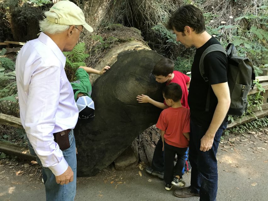 San Francisco: Private Muir Woods and Sausalito Tour - Customer Reviews and Ratings