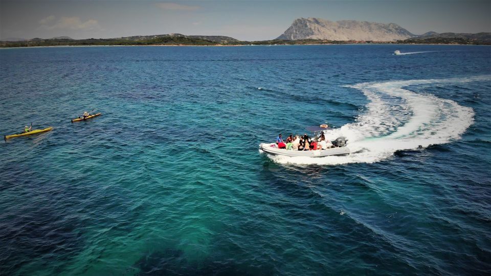 San Teodoro: Snorkeling in Tavolara Marine Protected Area - Customer Reviews and Ratings