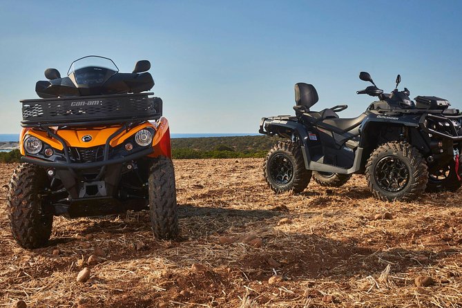 Sand Hollow ATV Rentals - New 4 Person UTV Bring up to 4 People Per Machine - Safety Measures