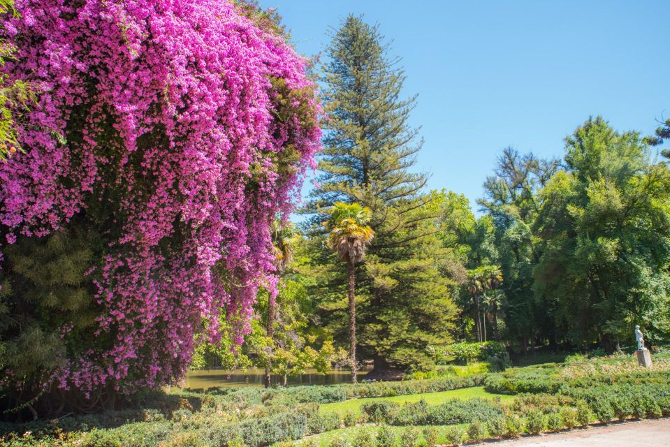 Santa Rita: Tour + Premium Wine Tasting + Private Transport - Participant Information
