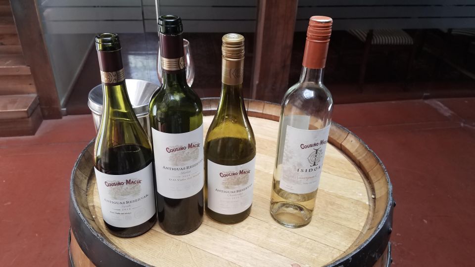 Santiago: Cousiño Macul Official Winery Tour With Tasting - Wine Tasting Process