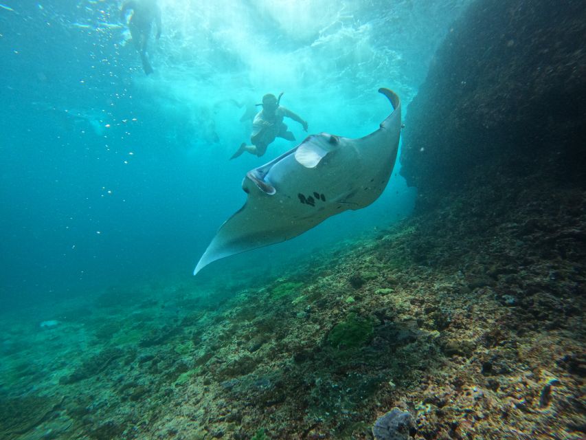 Sanur Bali To/From Lembongan: Speedboat Transfer - Restrictions for Passengers