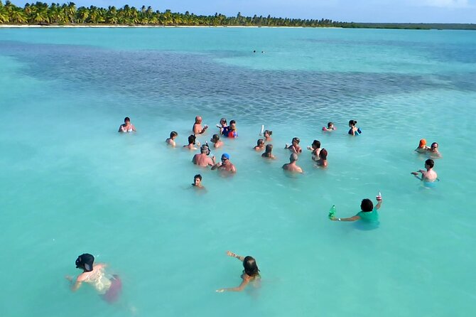 Saona Island: Full-day Sailing Tour - Small Group - Tips for a Memorable Tour