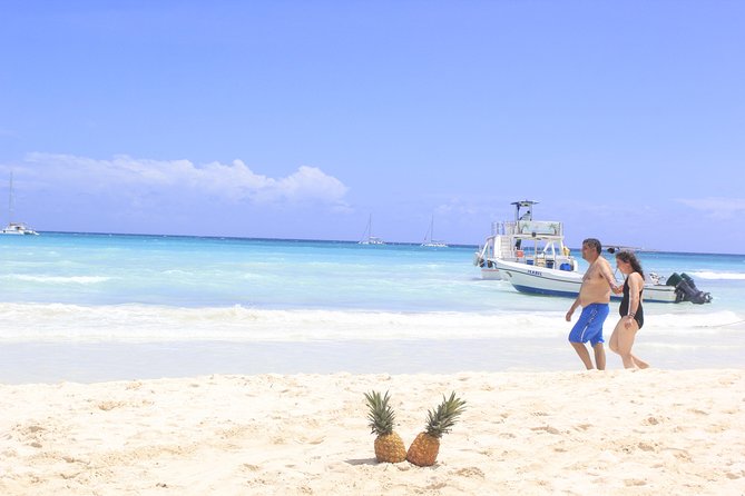 Saona Island Paradise From Punta Cana - What to Expect on the Island