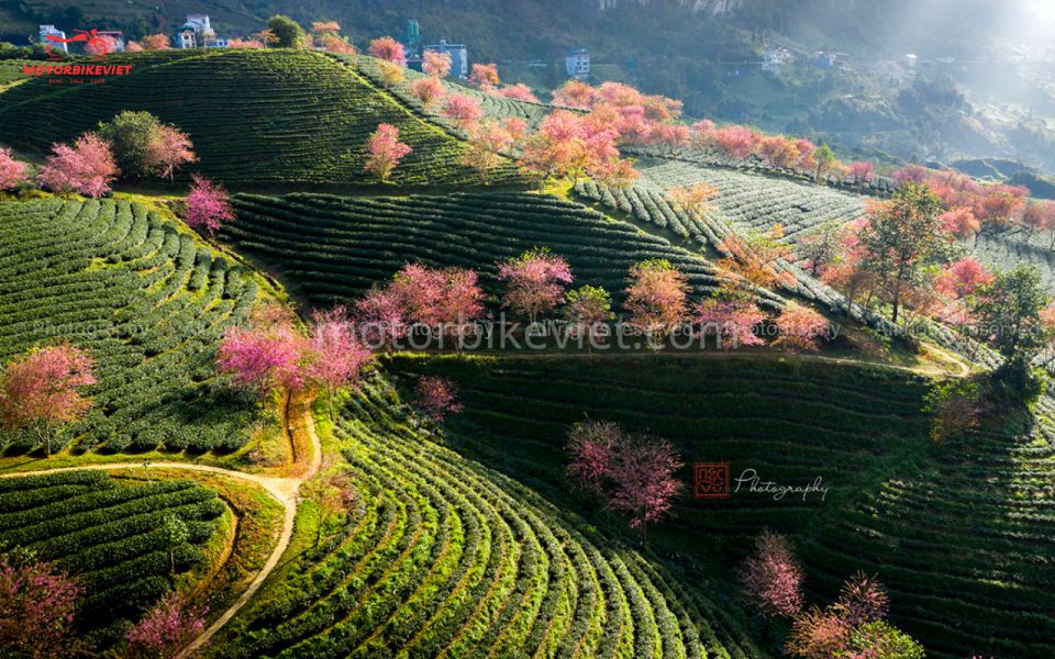 Sapa 2 Days 1 Night - Classic Hikking Tour - Booking Process