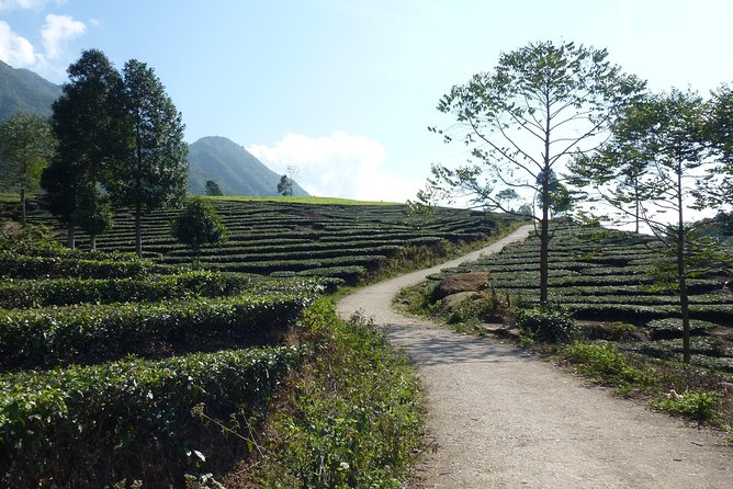 Sapa Full Day Motorbike Tour - Pickup and Start Time