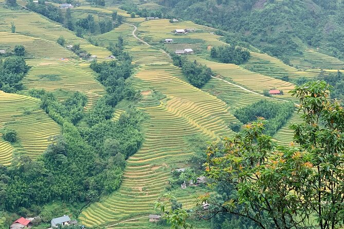 Sapa The Hidden Trail Trek 1 Day - Mountain & Rice Valley - Highlights of the Trek