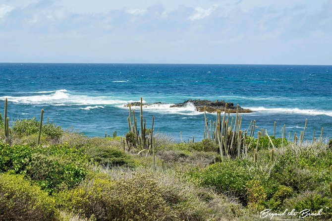 Savane Des Petrifications Hike - Health and Safety Guidelines