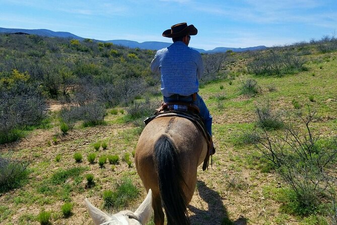 Scenic Horseback Adventure - Notable Experiences