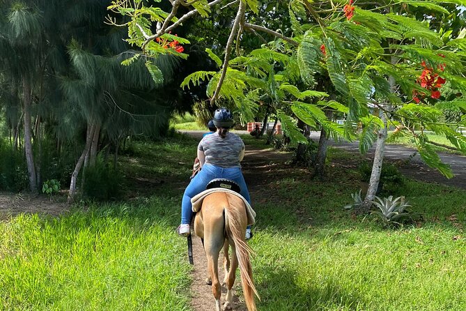 Scenic Horseback Riding Tour From San Juan - What to Wear