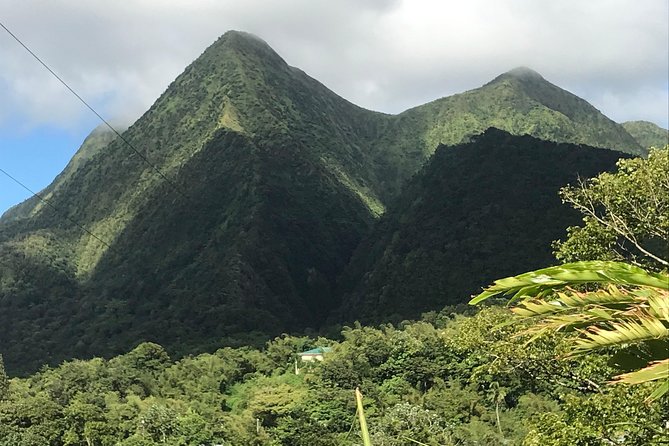 Scenic Tropical Rainforest & Island Tour - Frequently Mentioned Concerns