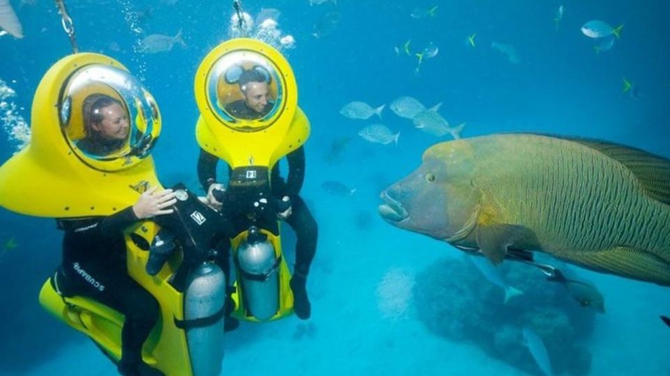 Scoba Doo Discover the Underwater Wonders of Punta Cana - Discovering Vibrant Corals and Marine Life