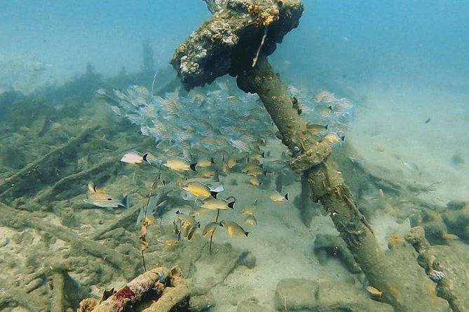 Scuba Diving at Unawatuna - Meeting and Return Details