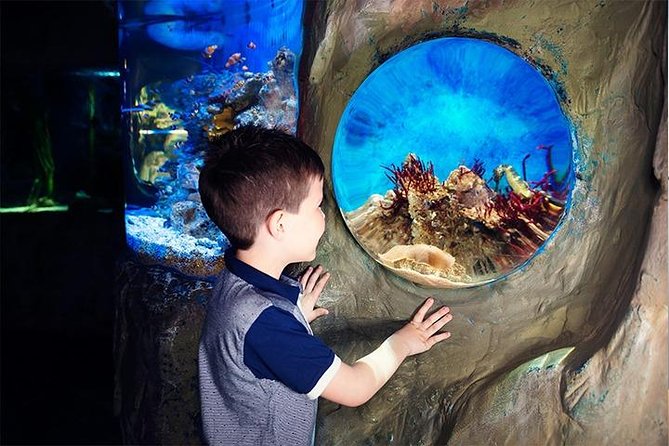 SEA LIFE Blackpool Admission Ticket - Customer Feedback