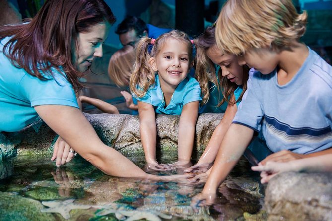 SEA LIFE Manchester Admission Ticket - Nearby Public Transportation Options