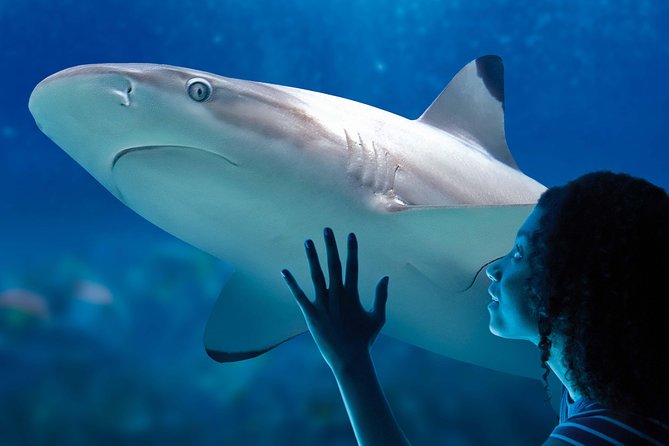 SEA LIFE Paris Val Deurope Aquarium Entry Ticket - Visitor Reviews and Ratings
