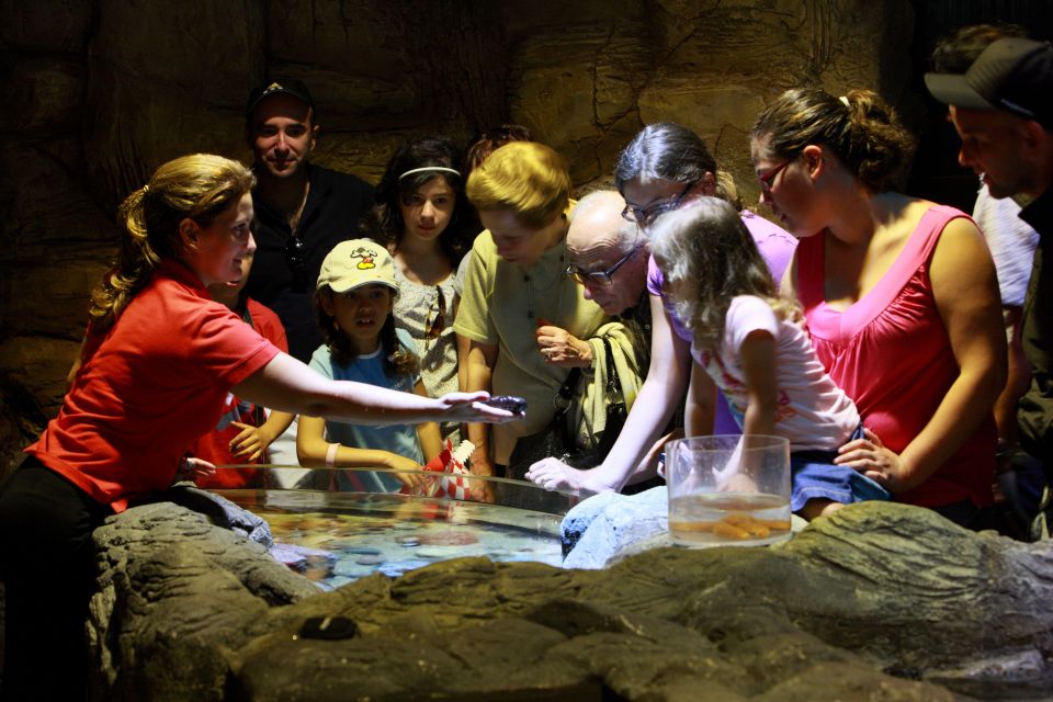 SEA LIFE Porto Full-Day Entrance Ticket - Educational Programs Offered