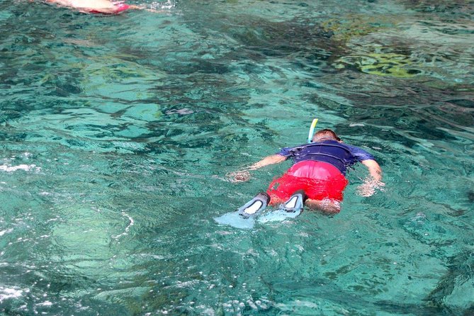 Sea Turtles and Snorkeling - Meeting Points and Accessibility
