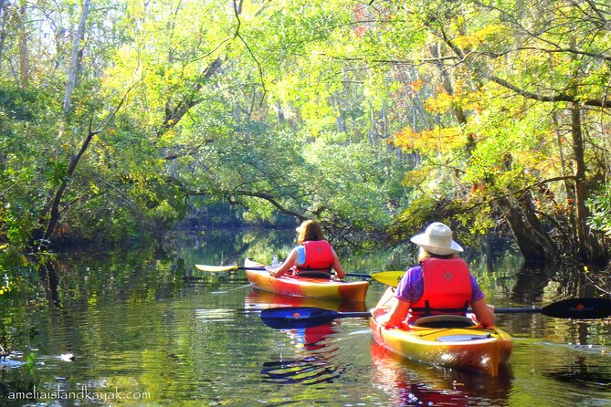 Self Guided Family Friendly Kayak Rental Experience Old Florida - Tips for a Successful Kayaking Trip