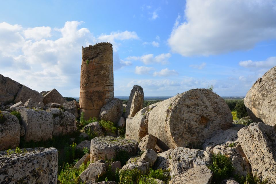 Selinunte: Archeological Park Entry Ticket and Pemcards - Tips for Your Visit