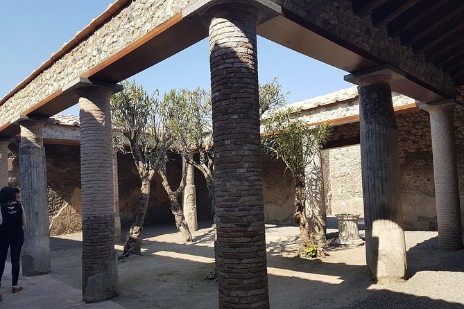 Semi-Private Day Tour Naples and Pompeii From Rome With Lunch - Logistics and Tour Inclusions