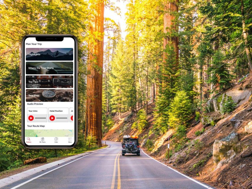 Sequoia & Kings Canyon: Self-Guided Audio Driving Tour - Offline Accessibility