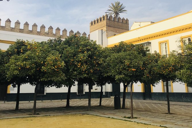 Seville Highlights Private Walking Tour - Participant Testimonials